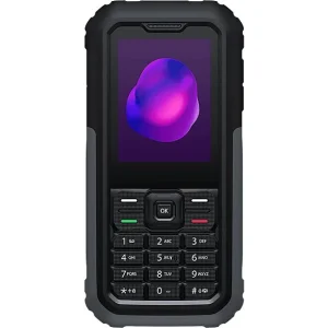 TCL 3189D 4G ds gray