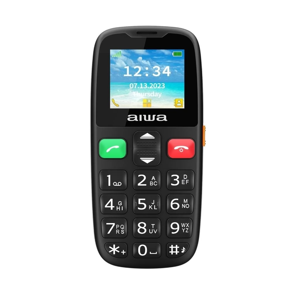 AIWA FPH-S100-2G 1.8 "Dualsim black